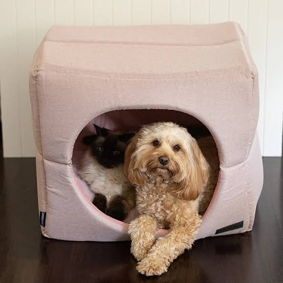 Upmarket Pets
