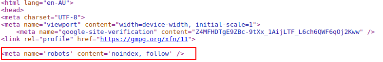 meta robots tag
